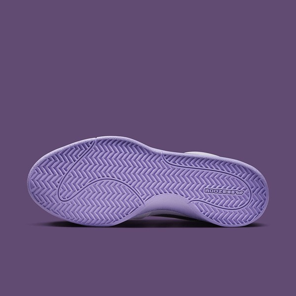 新品 Nike Book 1 EP Barely Grape 27.0 Nike Book 1 EP Basketball 'Chapter One' Barely Grape (FJ4250